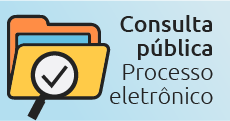 Consulta pública - processo eletrônico